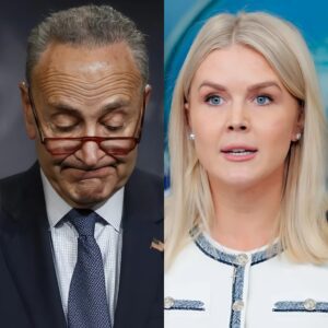 “WHO IS THAT JOKES FOR?” Karoline Leavitt’s attack on Senate Minority Leader Chuck Schumer turned into a viral meltdown.