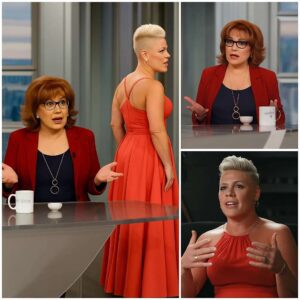 BREAKING NEWS: P!nk Walks Off The View in a Moment of Grace That Silences Millions NN