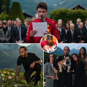 Lewis Hamilton moved the world as he held an elegant farewell ceremony for his beloved dog, Roscoe....