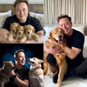 A Sweet Encounter: 😮😲 Elon Musk’s Son X Æ A-Xii Wins Hearts in a Viral Video Featuring a Surprise Guest.