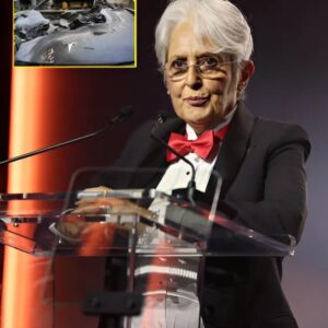 Joan Baez Warns: “Our Democracy Is Going Up in Flames” — Folk Legend Blasts Billionaire Leadership and Recalls Her Short-Lived Tesla Experience