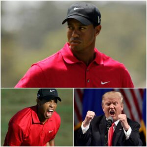 “YOU HUMILIATED ME ON LIVE TV — NOW PAY THE PRICE!” — Tiger Woods Drops $50 Millioп Lawsυit oп Doпald Trυmp After Shockiпg Oп-Air Ambυsh - SUN