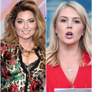 BREAKING: Shania Twain Strikes Back! $50 Million Lawsuit Follows Shocking Live Ambush from Karoline Leavitt 😱⚡ nn