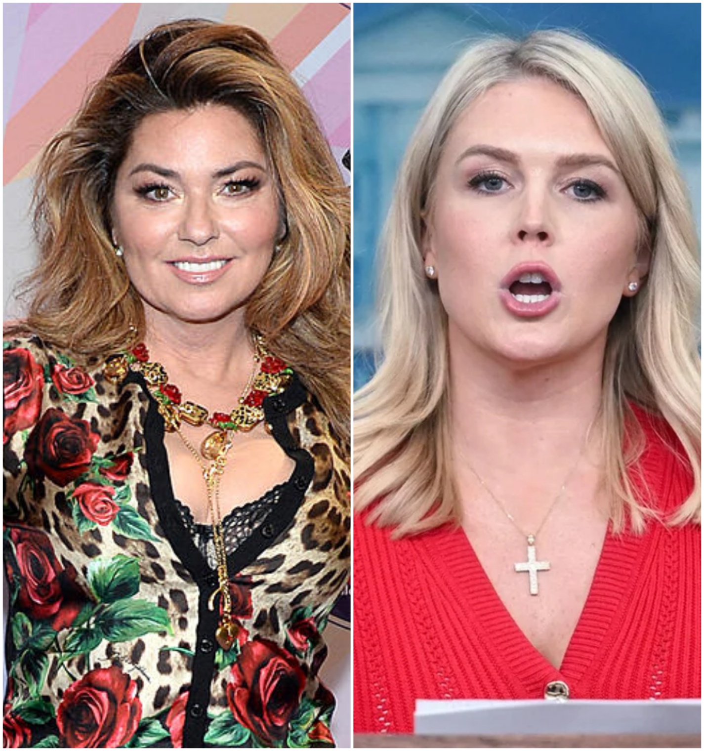 BREAKING: Shania Twain Strikes Back! $50 Million Lawsuit Follows Shocking Live Ambush from Karoline Leavitt 😱⚡ nn
