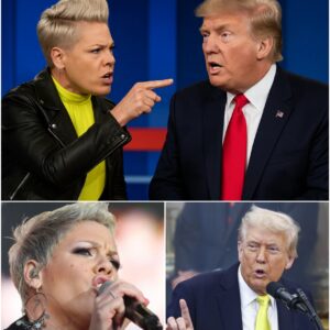 P!nk’s Explosive Stage Defiance: "Burn My Mic" Outburst Declares War on Trump and Bezos nh