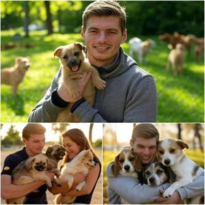 🔥10 MINUTES AGO: Max Verstappen has been investing $20 million to build a 'paradise' for stray dogs, promising love and a home for thousands of abandoned puppies.