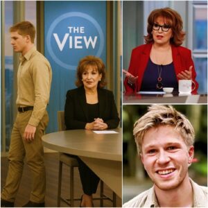 “NO GRAND GESTURE, NO HARSH WORDS” — Robert Irwin Quietly Walks Off The View, Leaving Behind a Legacy of Grace