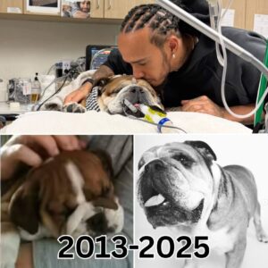 Lewis Hamilton shared that losing a companion for the second time was a completely different experience...