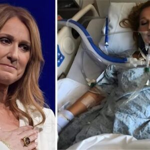 BREAKING: CÉLINE DION’S FAMILY FINALLY SPEAKS OUT — WHAT THEY JUST REVEALED HAS EVERYONE IN TEARS - H