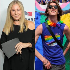 Barbra Streisand’s DWTS Pride Night Stance: A Defiant Stand for Authentic Allyship. ws
