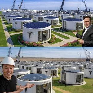 Elon Musk’s $7,999 Tesla Tiny House Just Launched in the US — Free Land & Zero Taxes?!