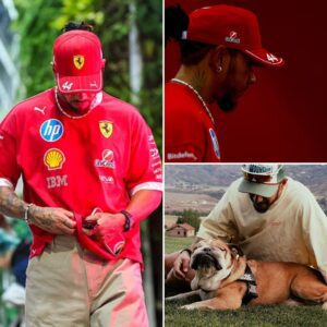 Lewis Hamilton silences the F1 paddock as he returns without Roscoe by his side — the beloved dog who accompanied him for over a decade...