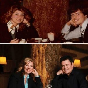 โจ Donny Osmond Reveals the Tender Story Behind His Proposal to Debbie โ A Moment of Pure Romance! TT