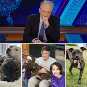 💥 Jon Stewart has always had a soft spot for the voiceless — and now, he’s turning that compassion into action. 🐾 TT
