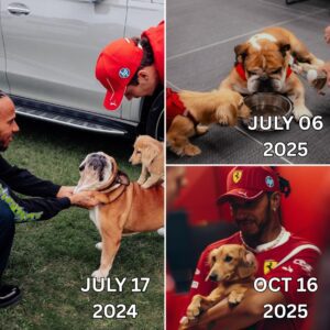 Lewis Hamilton was deeply moved by an unexpected gesture from Leo Leclerc when the two met on Media Day at the United States GP...