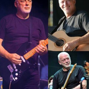 Inside Britannia Row: How Animals Became Pink Floyd’s Masterpiece—and Their Breaking Point A1