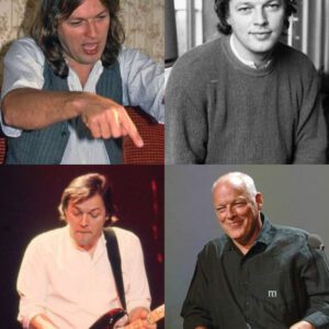 Before the Fame, Before the Walls — The Birth of the Real Pink Floyd: The Story of Meddle A1