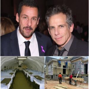 TOUCHING: Comedy icon Adam Sandler has donated his entire $5 million in recent film royalties and comedy tour earnings to launch a network of immigrant and homeless support centers in Palo Alto, California, his hometown