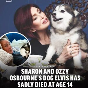 Sharon Osbourne's Heartbreaking Loss: Beloved Dog Elvis Passes at 14, "By My Side Until the End" nh