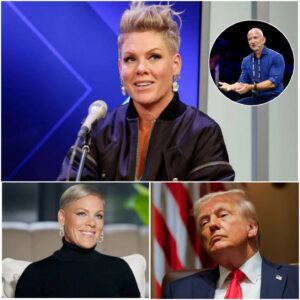 The Echo of Defiance: P!nk's Stand Against Silence nh