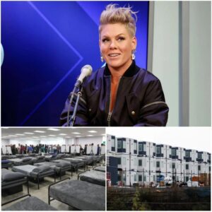 Pink's Hometown Heart: A $5 Million Gift to End Homelessness in Doylestown nh