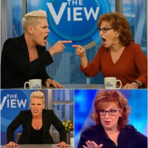 “Say it again. I dare you.” — The Confrontation Between P!nk and Joy Behar That Left the Studio in Shock nn