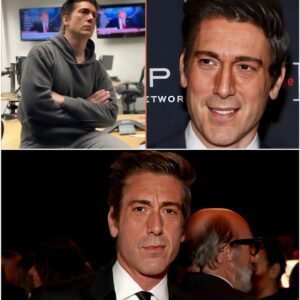 BREAKING NEWS: DAVID MUIR’S LIVE CONFESSION STOPS AMERICA IN ITS TRACKS — “I COULDN’T KEEP QUIET ANY LONGER...top1teamtien