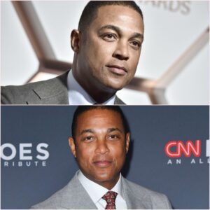 Don Lemon's Interviews EXPOSE What's REALLY Happening in Chicago Protests
