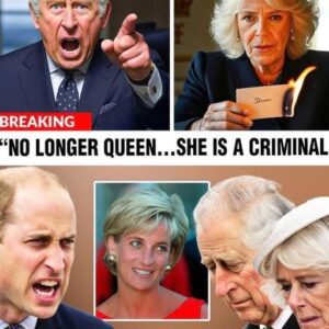 “CAMILLA DID IT” — Nearly 3 Decades Later, Charles Spencer Drops a Bombshell That’s SHAKING the Royal Family to Its Core!💥 TT