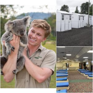 BREAKING NEWS: Robert Irwin Donates Entire $6 Million to Build Homeless Support Centers in His Hometown — “No One Should Have to Sleep Outside.”