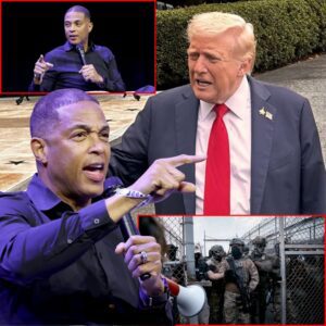 SHOCK: Former CNN host Don Lemon suggested black Americans should arm themselves to fight off ICE