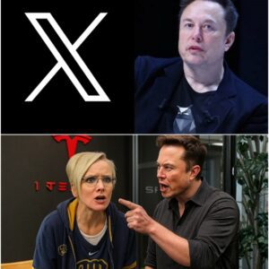 Social media is in meltdown after reports confirmed that Elon Musk has officially banned Brewer’s Karen from all Tesla and SpaceX facilities