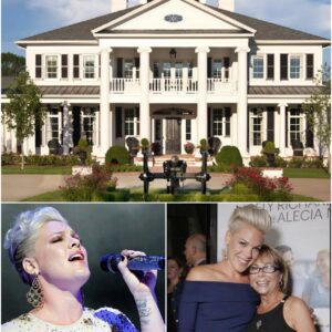 From Pain to Purpose: P!nk's $3.2 Million Redemption of Her Philadelphia Roots nh