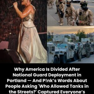Why America Is Divided After National Guard Deployment in Portland — And P!nk’s Words About People Asking ‘Who Allowed Tanks in the Streets?’ nn
