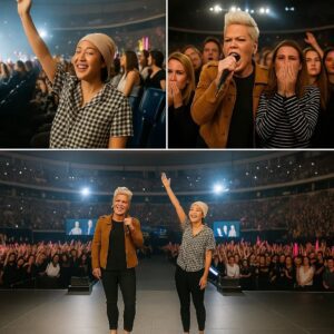 “SHE COULDN’T FINISH HER SONG – SO 40,000 VOICES DID IT FOR HER.” p!nk nabeo