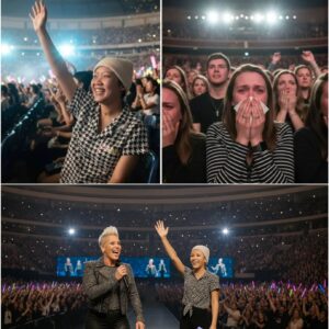 She Couldn’t Finish the Song – So 40,000 Voices Did It for Her: P!nk’s Unforgettable Night at Fenway Park nabeo