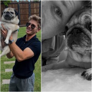 Robert Irwin shares heartbreaking family update while overseas