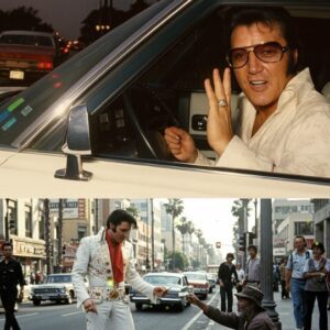 ๐๏ธVOICE โ The Final Song of Elvis Presley: When Pain Became the Melody