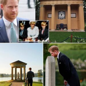 In the quiet of the morning, far from cameras and protocol, Prince Harry was reportedly seen walking alone toward the lakeside temple at Althorp