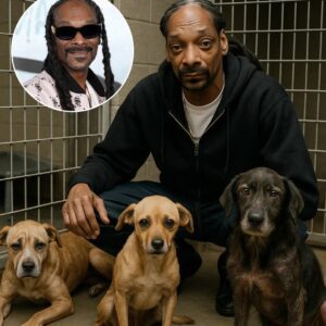 Snoop Dogg's Quiet Heroics: Saving Maple Creek Rescue and Adopting Rusty nh