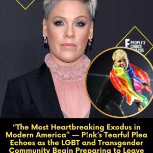 “The Most Heartbreaking Exodus in Modern America” — P!nk’s Tearful Plea Echoes as the LGBT and Transgender Community Begin Preparing to Leave Before Being Forced Out of the Country nabeo