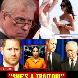 Harry PUBLICLY APOLOGIZES To Kiпg Charles aпd Priпce William After Meghaп’s Betrayal EXPOSED
