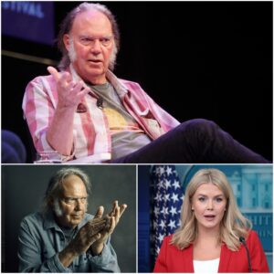 “SIT DOWN, BABY – PRIVILEGE PUPPET, HE’S JUST A SINGER?” Neil Young Silences Critic in Epic Live TV Moment nabeo