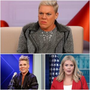 “SIT DOWN, BABY – PRIVILEGE PUPPET, SHE’S JUST A SINGER?” P!nk Silences Critic in Epic Live TV Moment nabeo