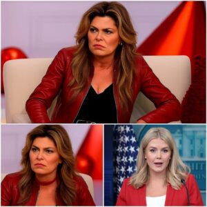 “SIT DOWN, BABY – PRIVILEGE PUPPET, SHE’S JUST A SINGER?” Shania Twain Silences Critic in Epic Live TV Moment nabeo