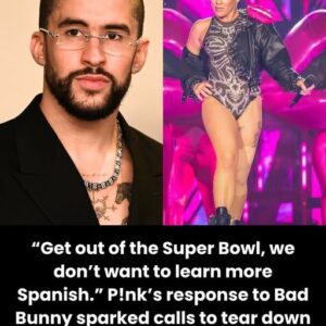 “Get out of the Super Bowl, we don’t want to learn more Spanish.” P!nk’s response to Bad Bunny sparked calls