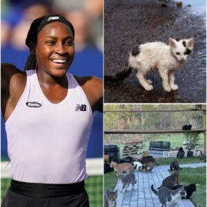 ๐พ From smashing recordsโฆ to saving lives! ๐พ Coco Gauff just proved sheโs not only the Queen of Tennis, but also the Queen of Kindness.