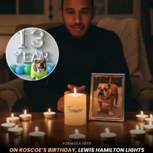 Lewis Hamilton Honors Roscoeโs 13th Birthday with a Candlelit Tribute That Touched the World