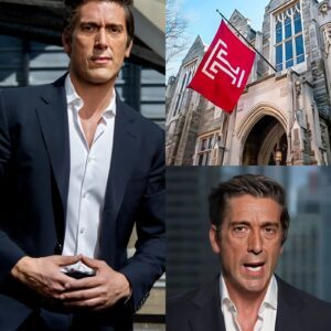 ABC’s star anchor David Muir is set to receive a major honor from Temple University this Wednesday — and fans are celebrating it like a clean sweep victory.