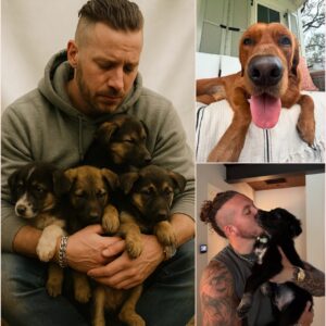 Brandon Lake’s $10.2M “Heaven’s Porch”: A Sanctuary Built on Tears, Trombones, and Unshakable Grace. ws